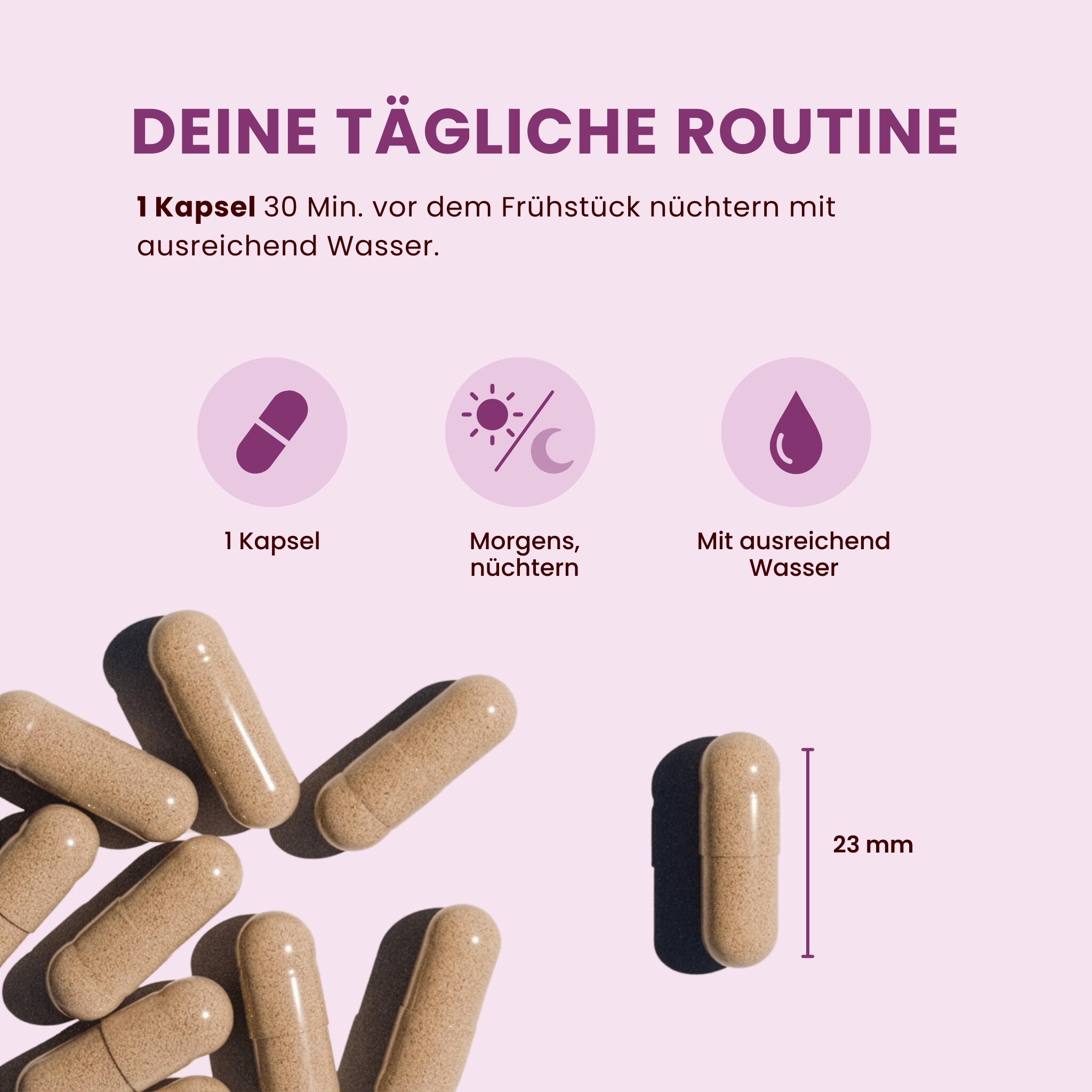 Vitamin B & Eisen Komplex