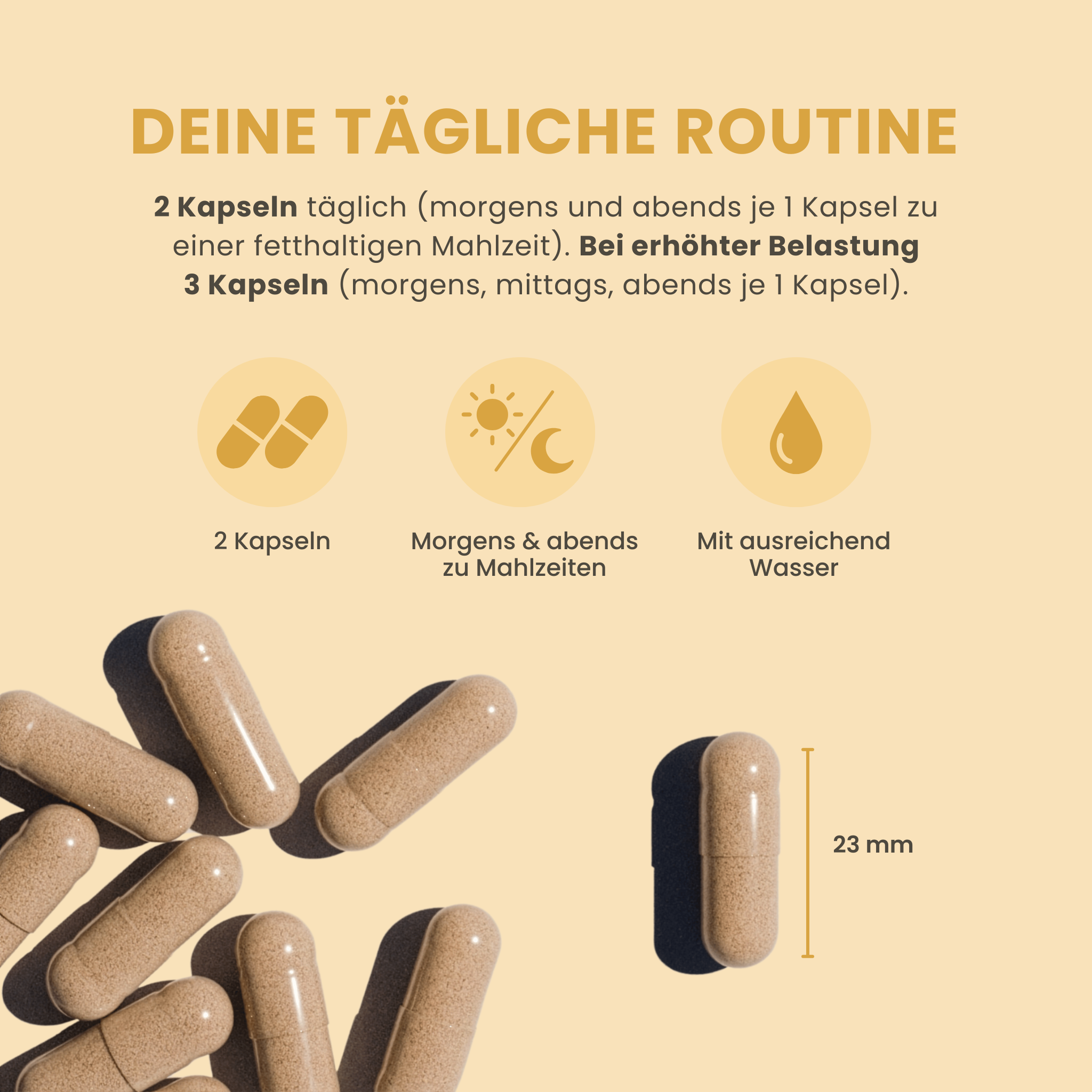 Kurkuma & Boswellia Komplex