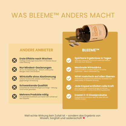 Kurkuma & Boswellia Komplex