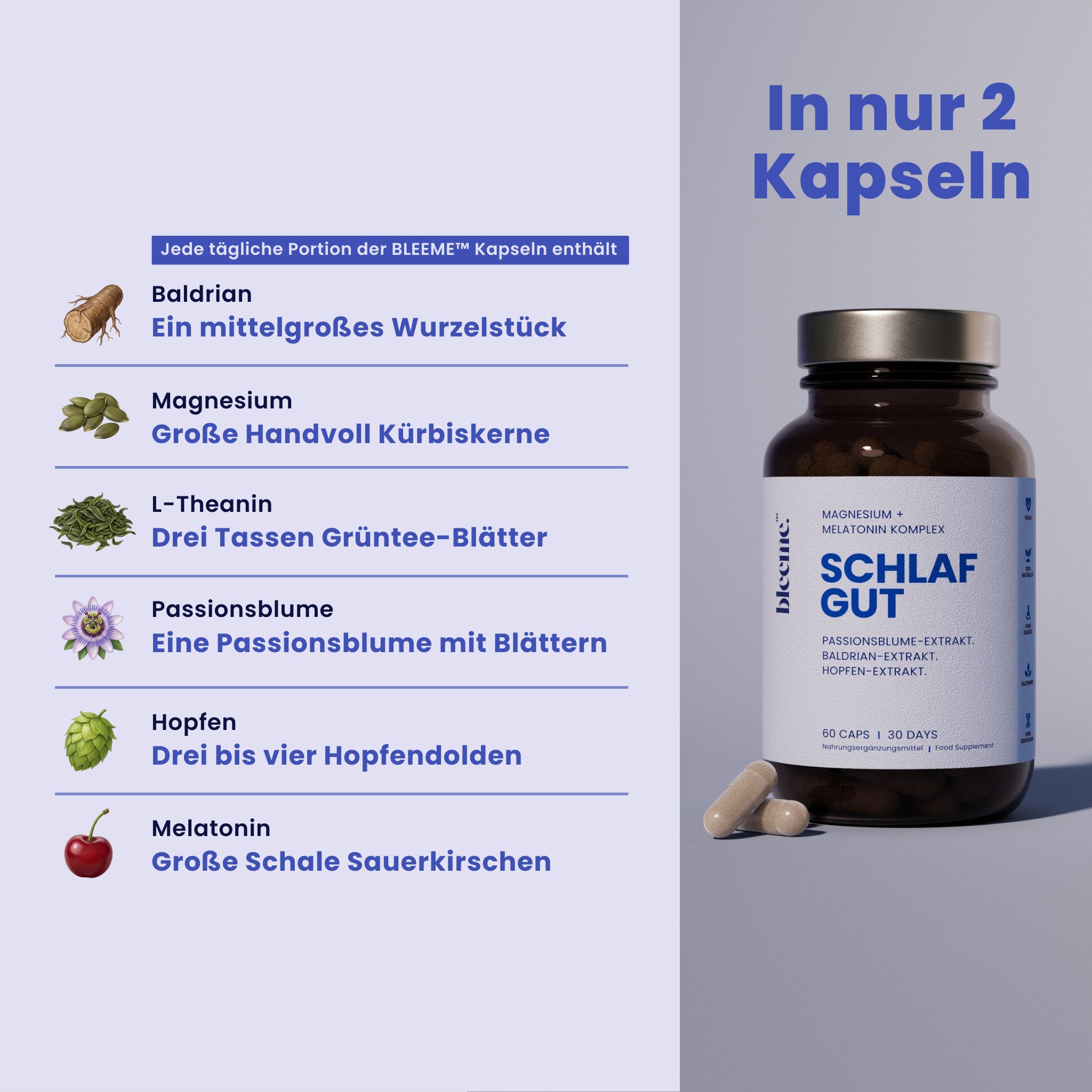 Schlaf Komplex